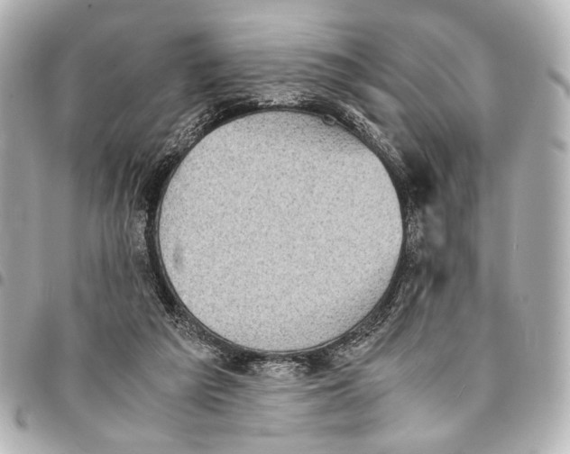 X0000094970209200712201230