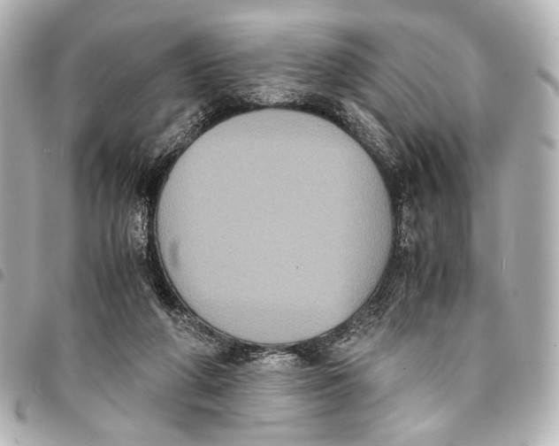 X0000094970210200712201230