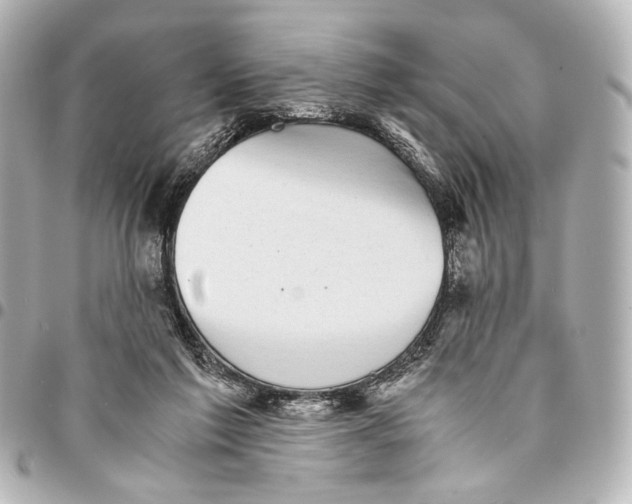 X0000094970213200712201230