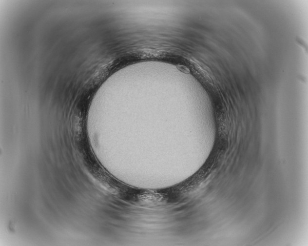 X0000094970215200712201230