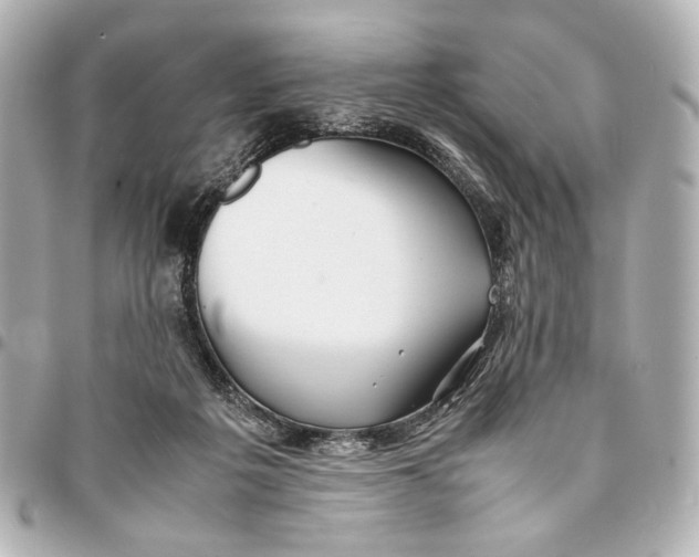 X0000094970217200712201230