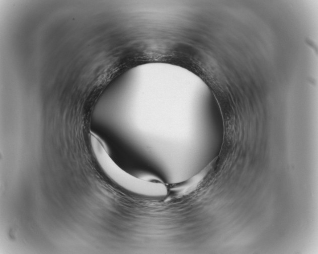 X0000094970221200712201230