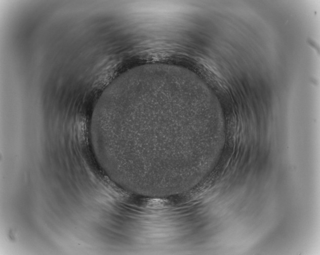 X0000094970222200712201230