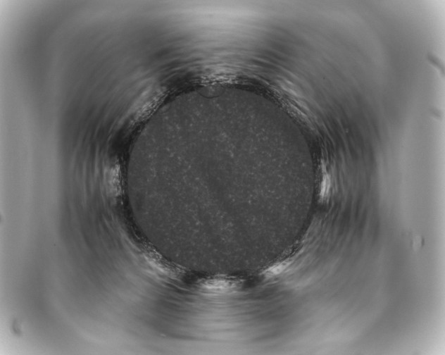 X0000094970224200712201229