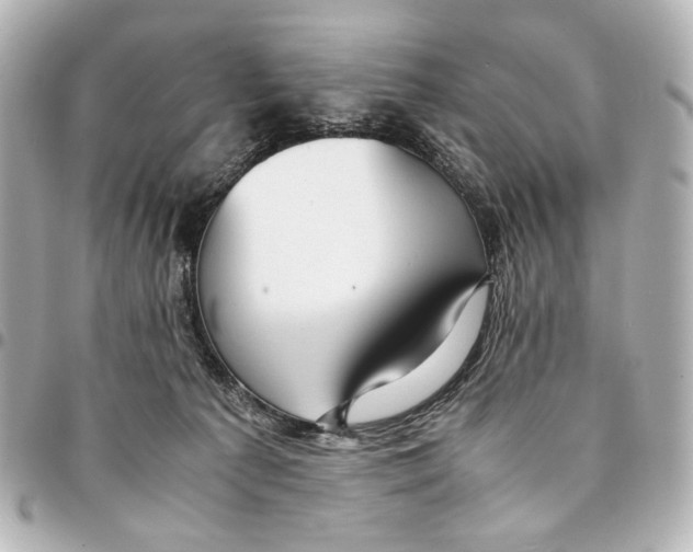 X0000094970225200712201229