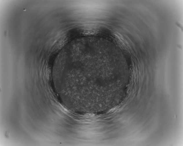 X0000094970227200712201229