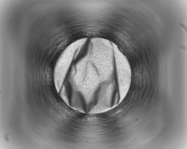 X0000094970228200712201229