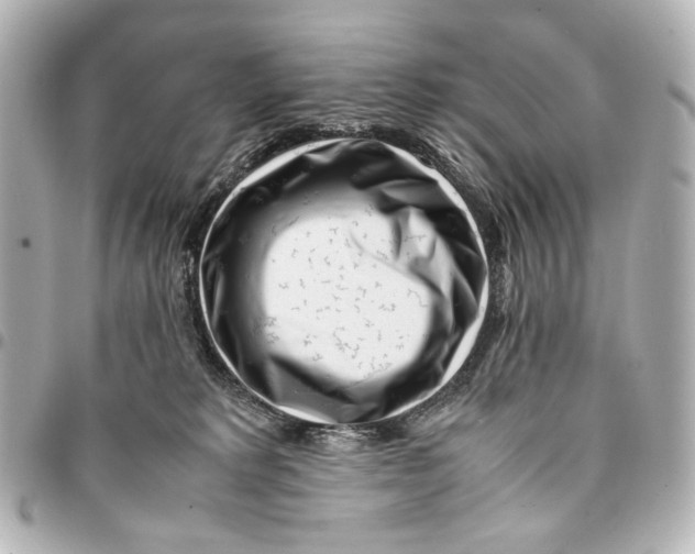 X0000094970229200712201229