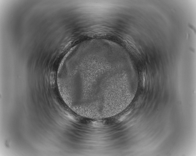 X0000094970232200712201229