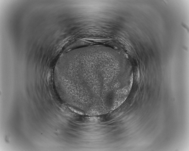 X0000094970233200712201229