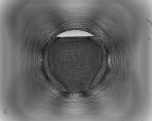 X0000094970235200712201229