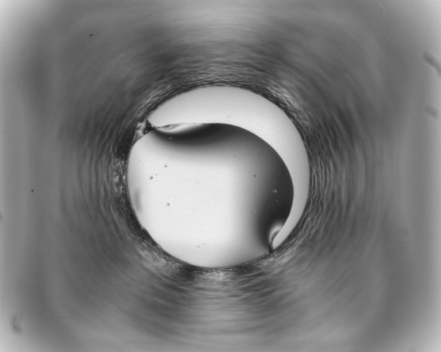 X0000094970237200712201229