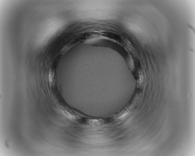 X0000094970239200712201229