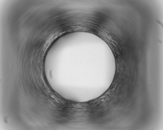 X0000094970241200712201229