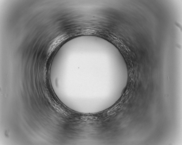 X0000094970242200712201229