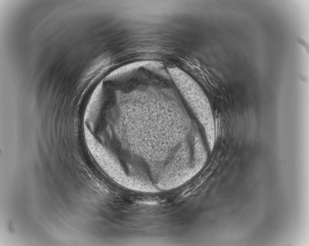 X0000094970243200712201229