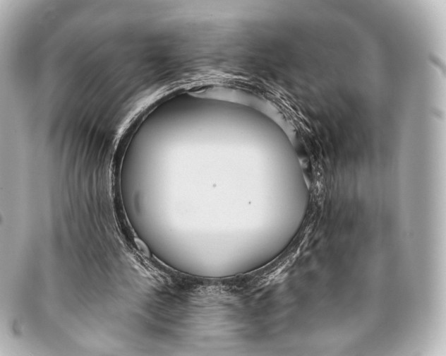 X0000094970244200712201229