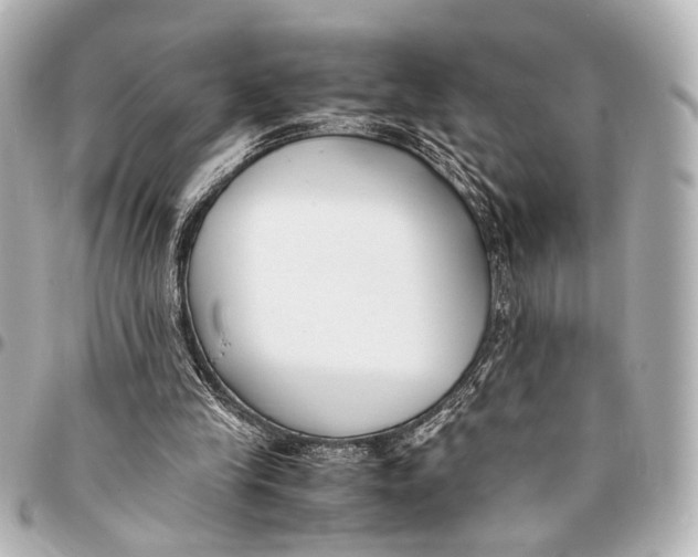 X0000094970245200712201229