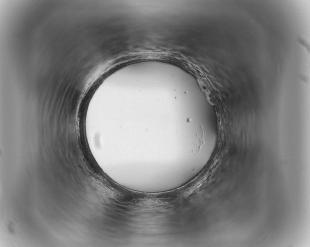 X0000094970246200712201229