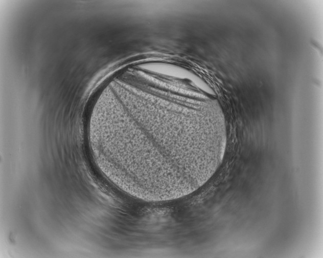 X0000094970247200712201229