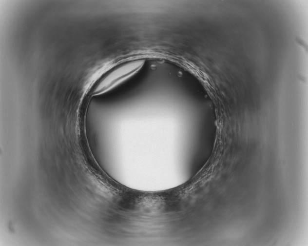 X0000094970248200712201229