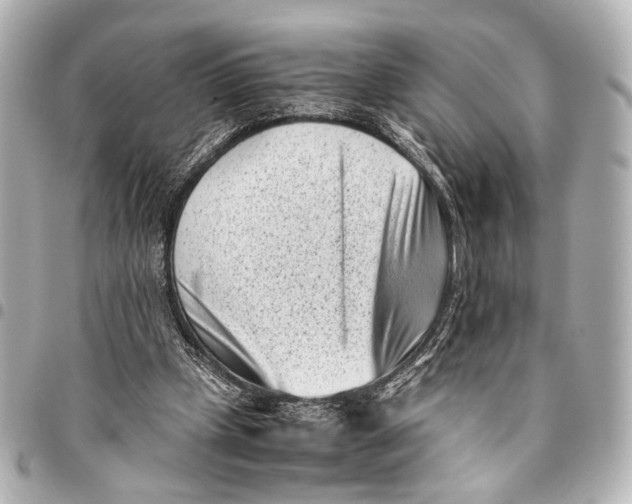 X0000094970249200712201229