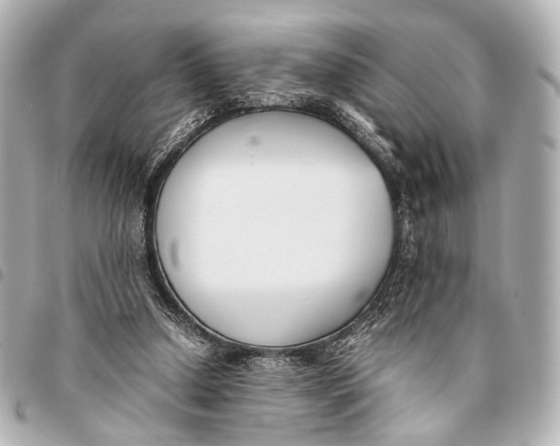 X0000094970250200712201229