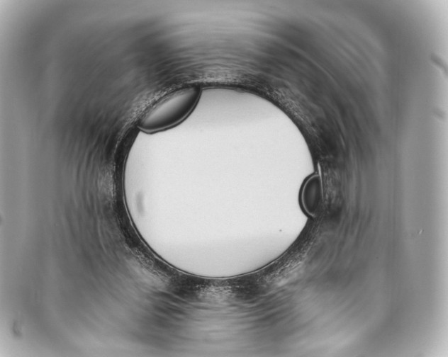 X0000094970252200712201229