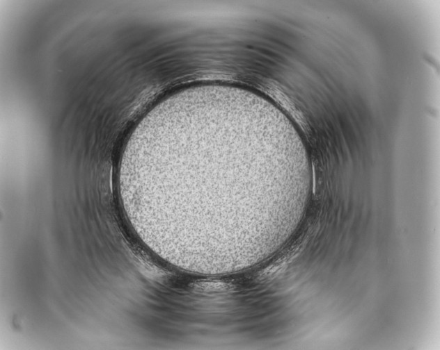 X0000094970253200712201229