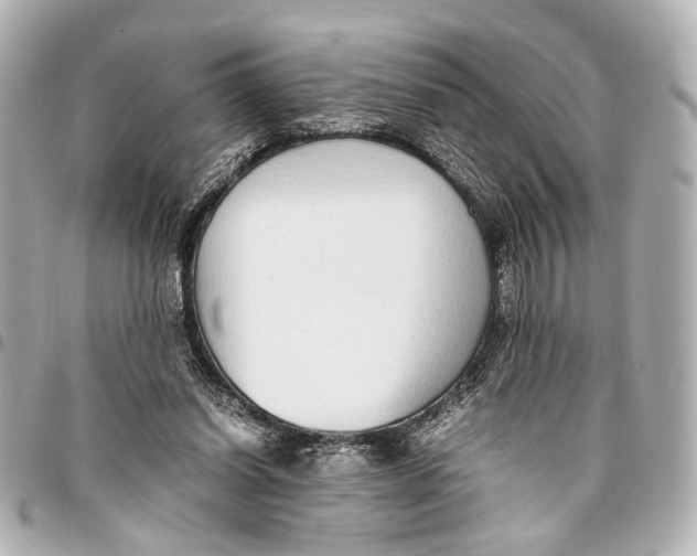 X0000094970254200712201229