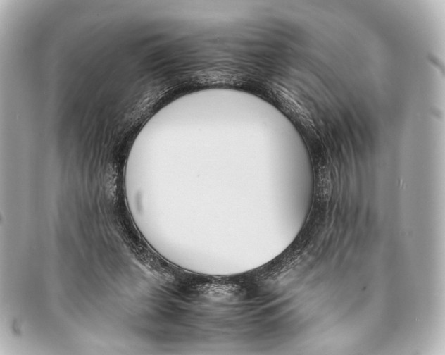 X0000094970255200712201229