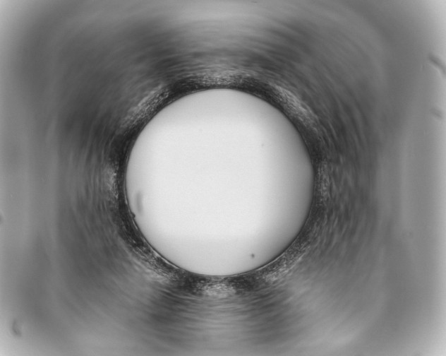 X0000094970258200712201229