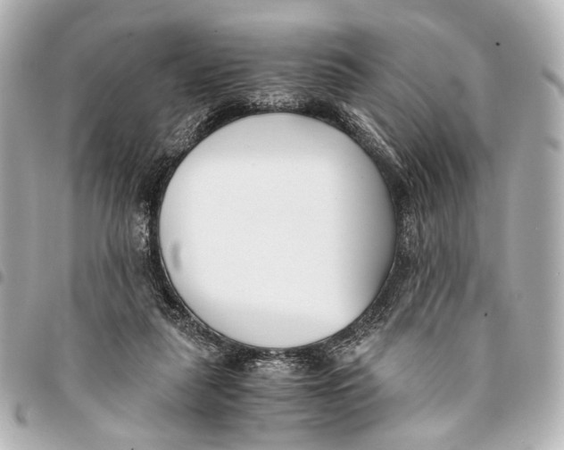 X0000094970259200712201229