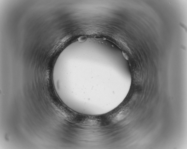 X0000094970260200712201229