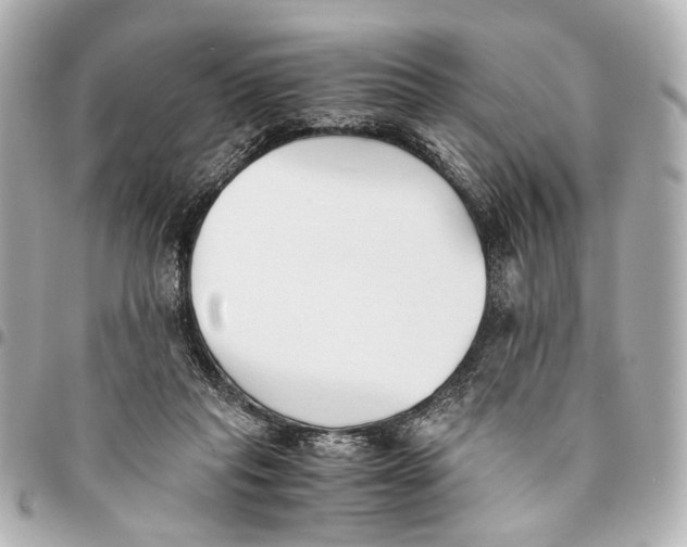 X0000094970261200712201229