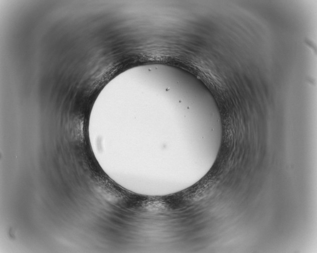 X0000094970262200712201229