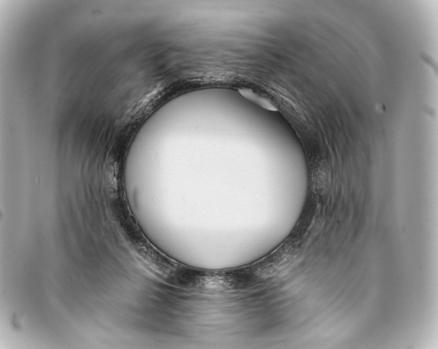 X0000094970264200712201229