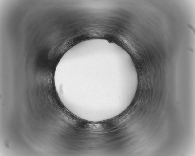 X0000094970265200712201229