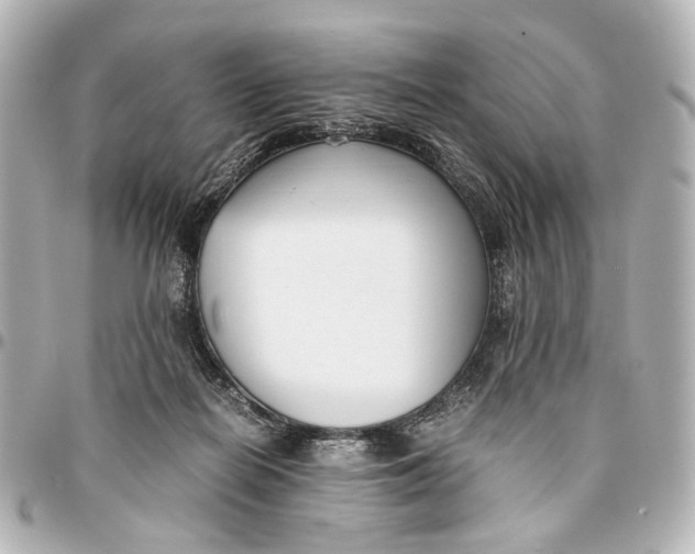 X0000094970266200712201229