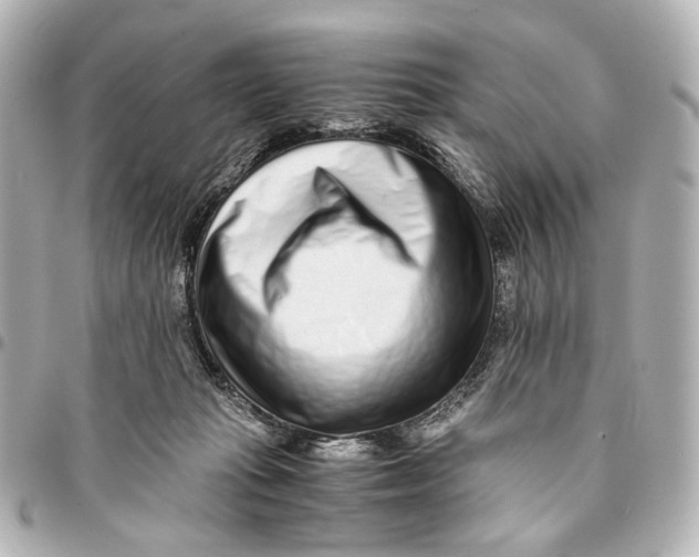 X0000094970269200712201229