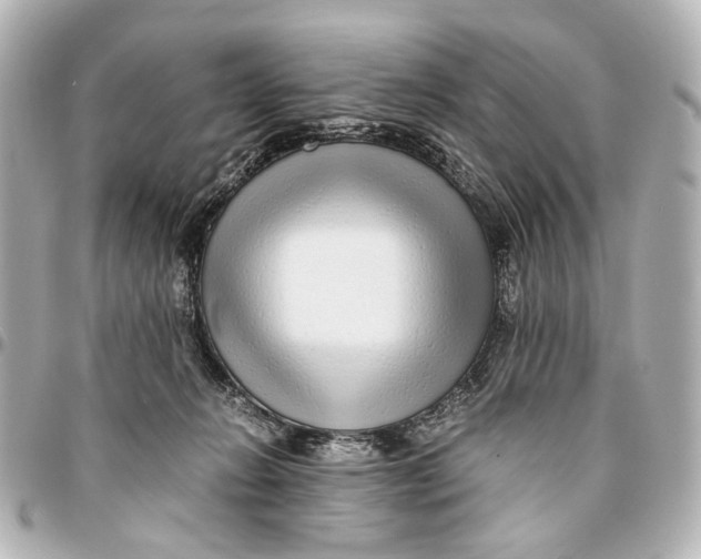 X0000094970270200712201229