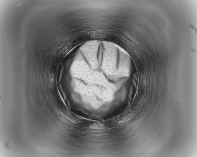 X0000094970271200712201229