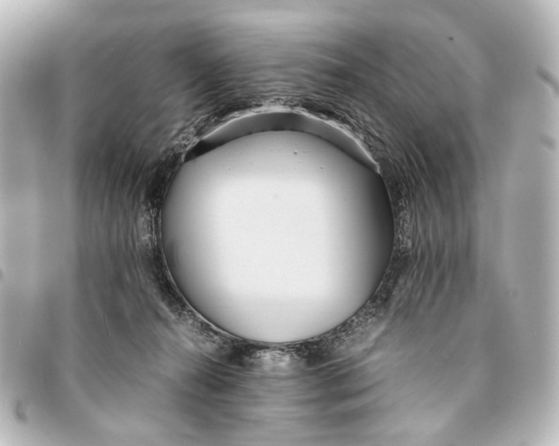 X0000094970272200712201229