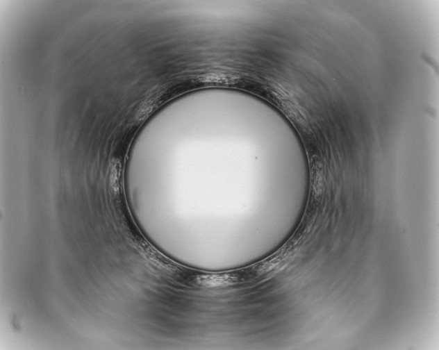 X0000094970273200712201229