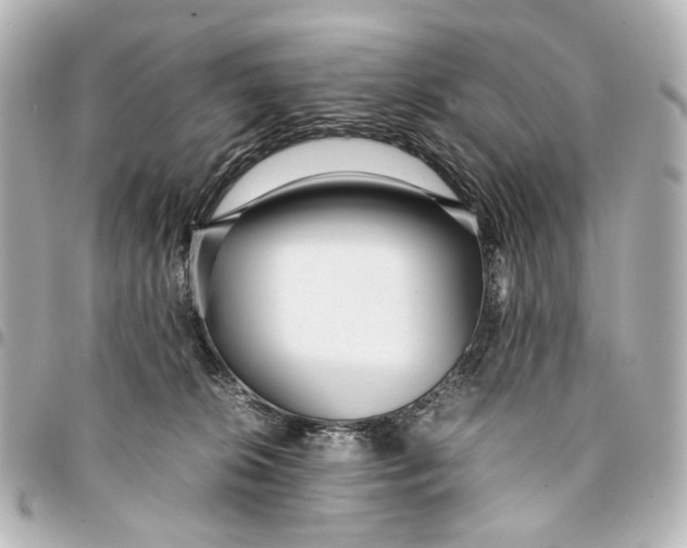 X0000094970276200712201229