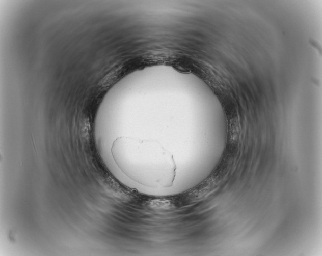 X0000094970279200712201229