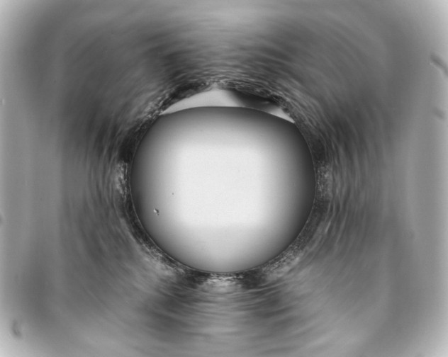 X0000094970280200712201229