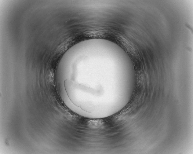 X0000094970281200712201229