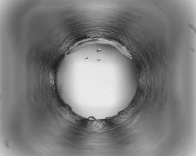 X0000094970282200712201229