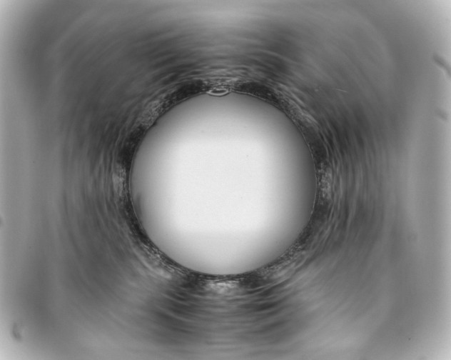 X0000094970283200712201229